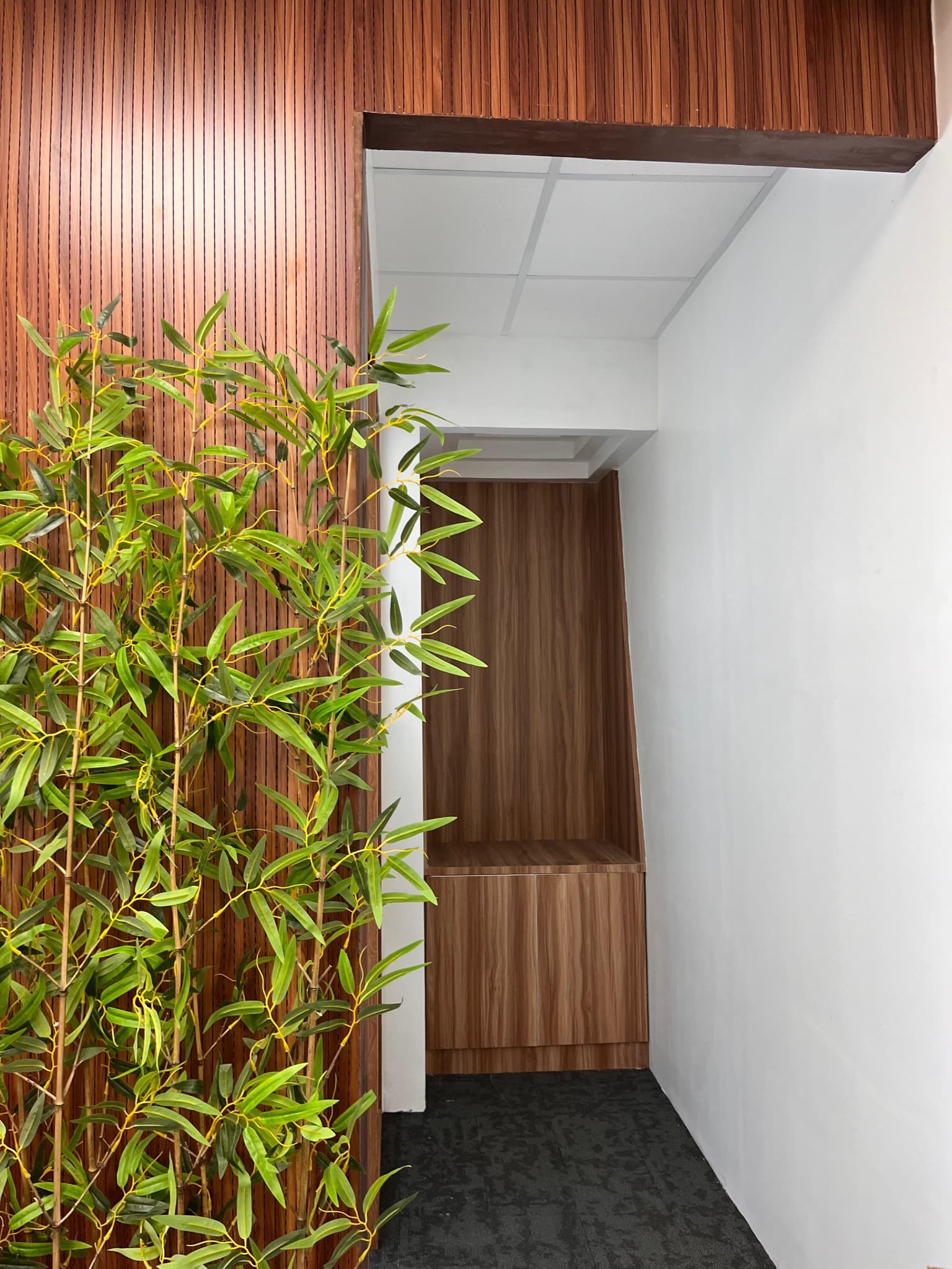 TIDEL NEO, Salem - photo 3
